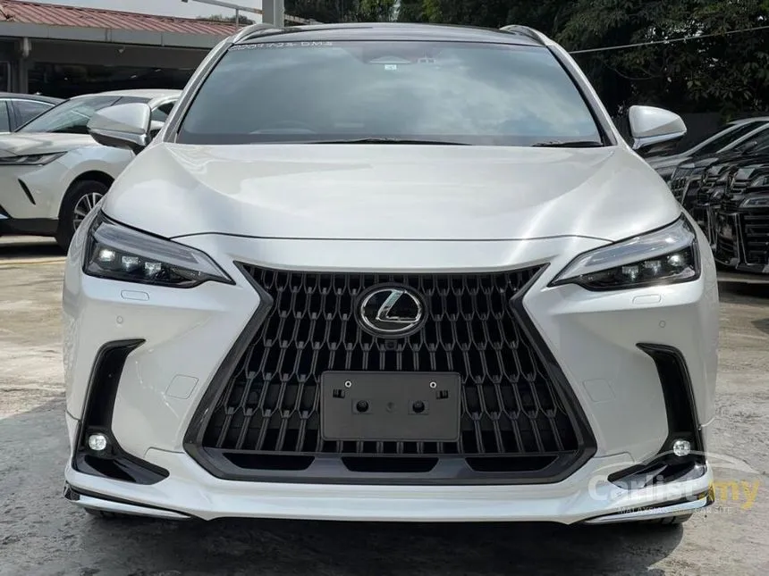 2023 Lexus NX250 Luxury SUV