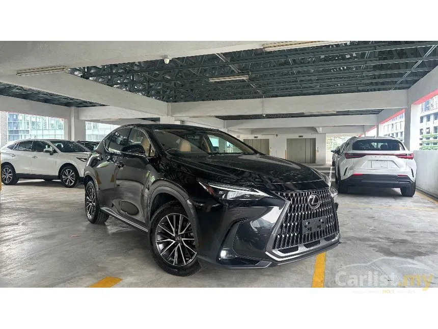 2021 Lexus NX 250 Luxury SUV
