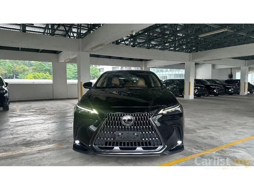 2021 Lexus NX 250 Luxury SUV