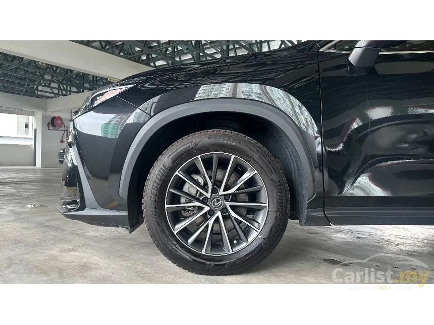 2021 Lexus NX 250 Luxury SUV