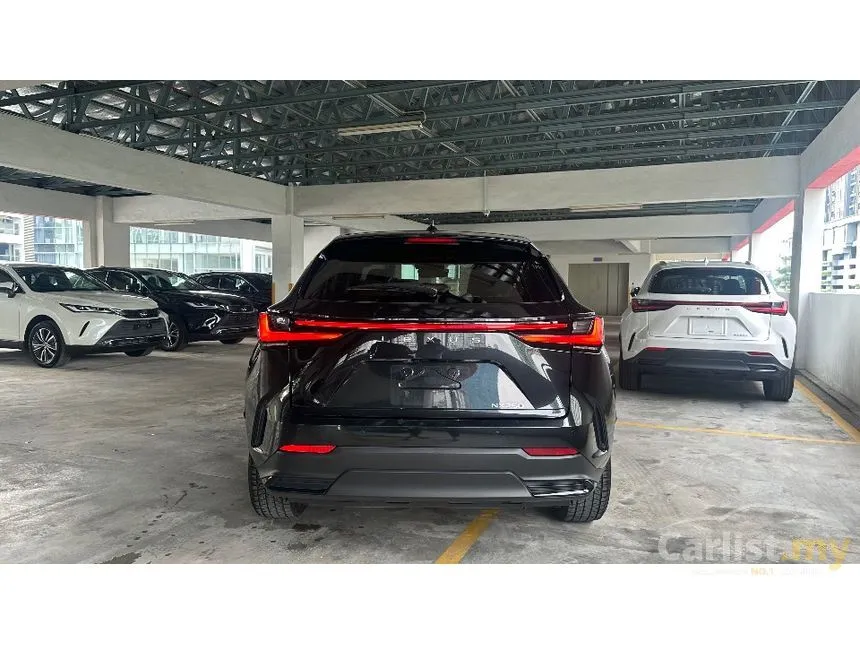 2021 Lexus NX 250 Luxury SUV