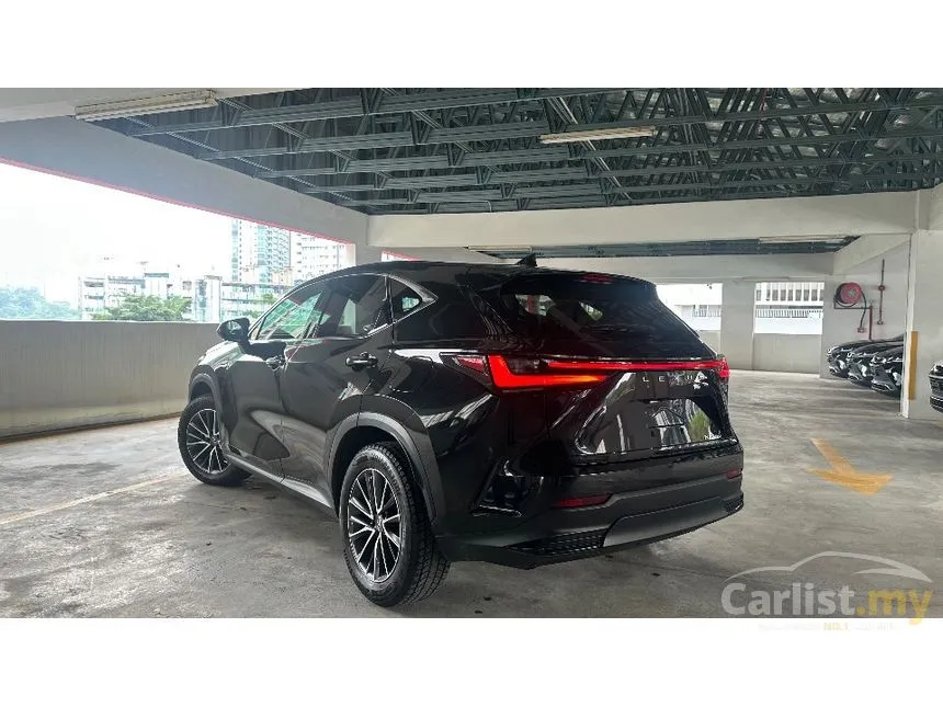 2021 Lexus NX 250 Luxury SUV