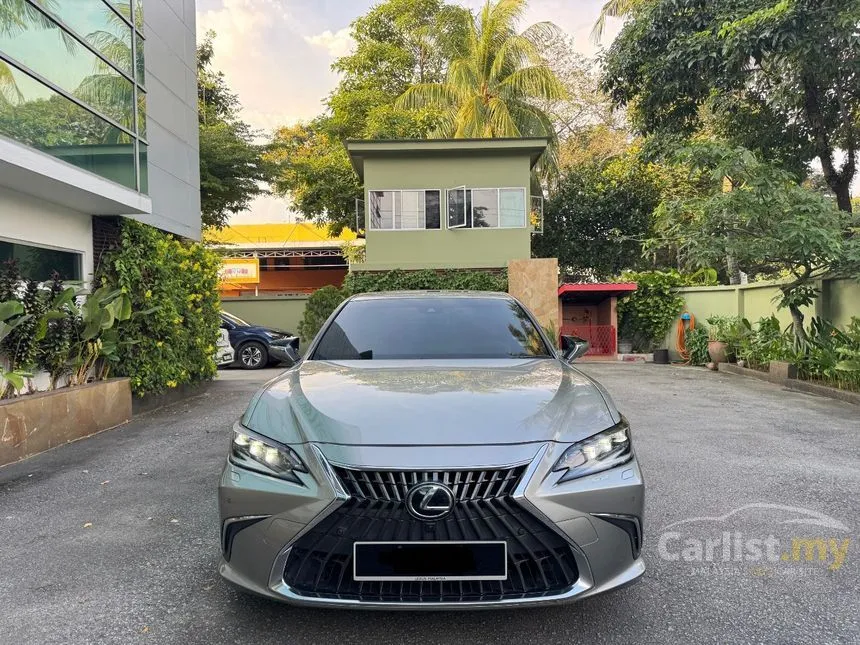 2022 Lexus ES 250 Luxury Sedan