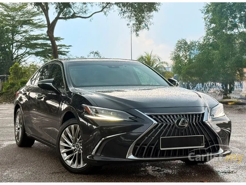 2023 Lexus ES 250 Luxury Sedan