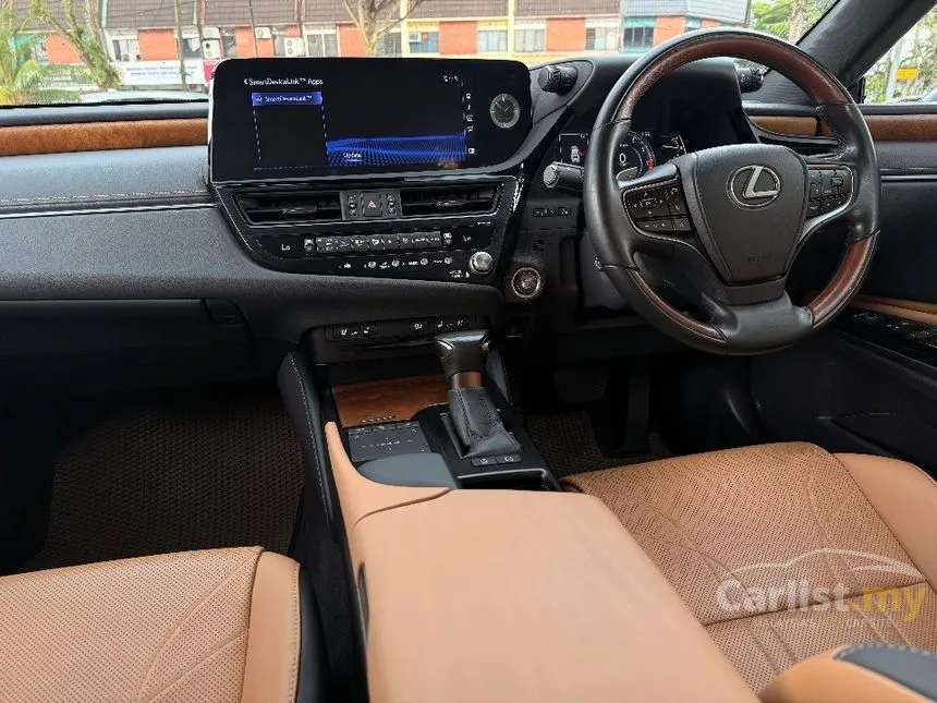 2023 Lexus ES 250 Luxury Sedan