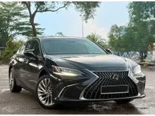 2023 Lexus ES 250 2.5 Luxury Sedan