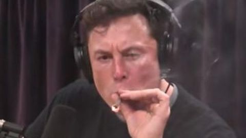 Bos Tesla Elon Musk Mau Bikin Cip untuk Dimasukkan ke Otak