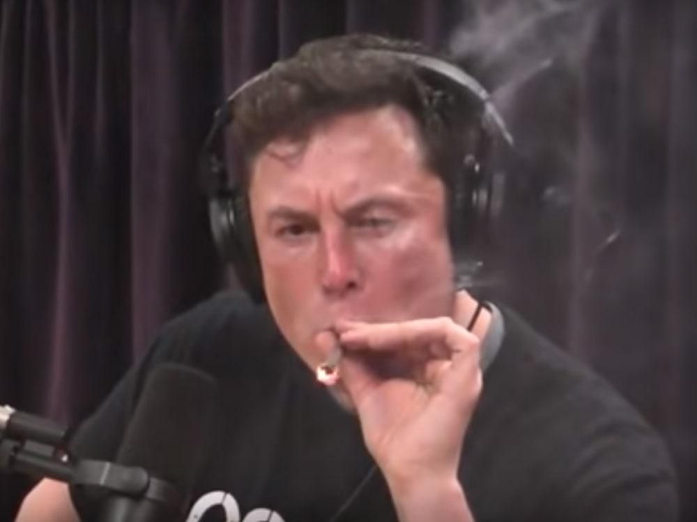 Bos Tesla Elon Musk Mau Bikin Cip untuk Dimasukkan ke Otak