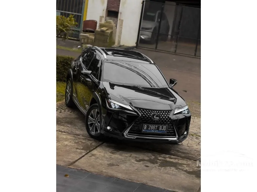 2022 Lexus UX 300e SUV