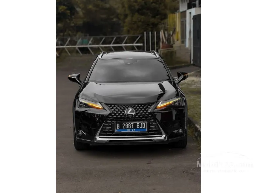 2022 Lexus UX 300e SUV