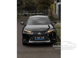 2022 Lexus UX 300e SUV