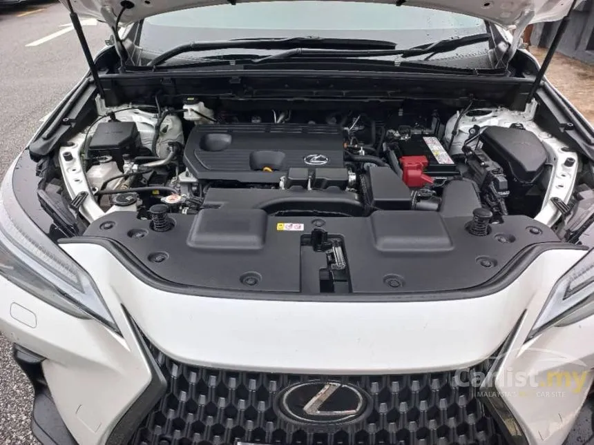 2023 Lexus NX 250 SUV