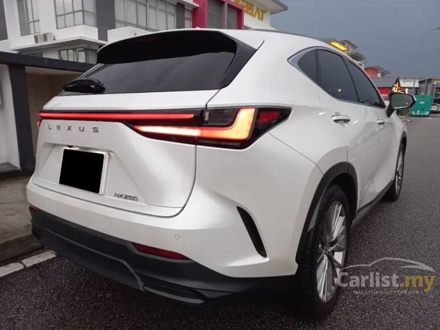 2023 Lexus NX 250 SUV