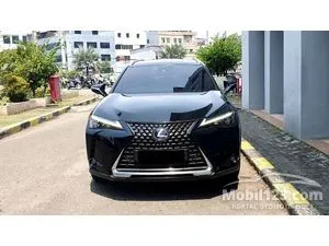 2023 Lexus UX 300e SUV