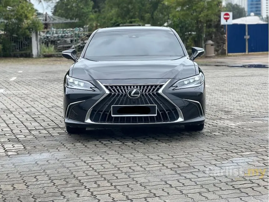 2022 Lexus ES 250 Luxury Sedan