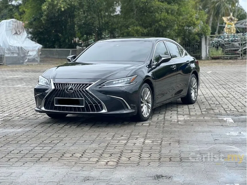 2022 Lexus ES 250 Luxury Sedan
