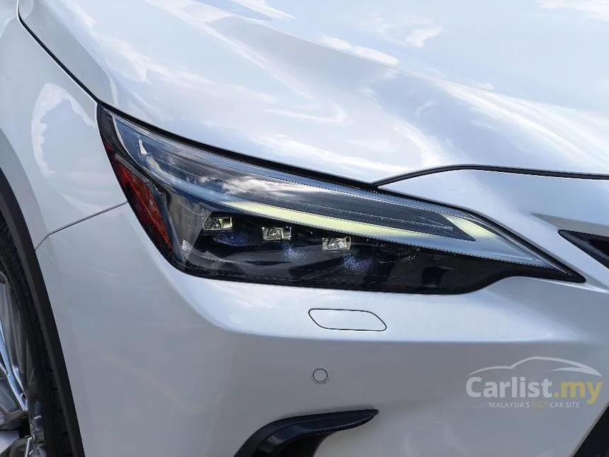 2023 Lexus NX 250 Luxury SUV