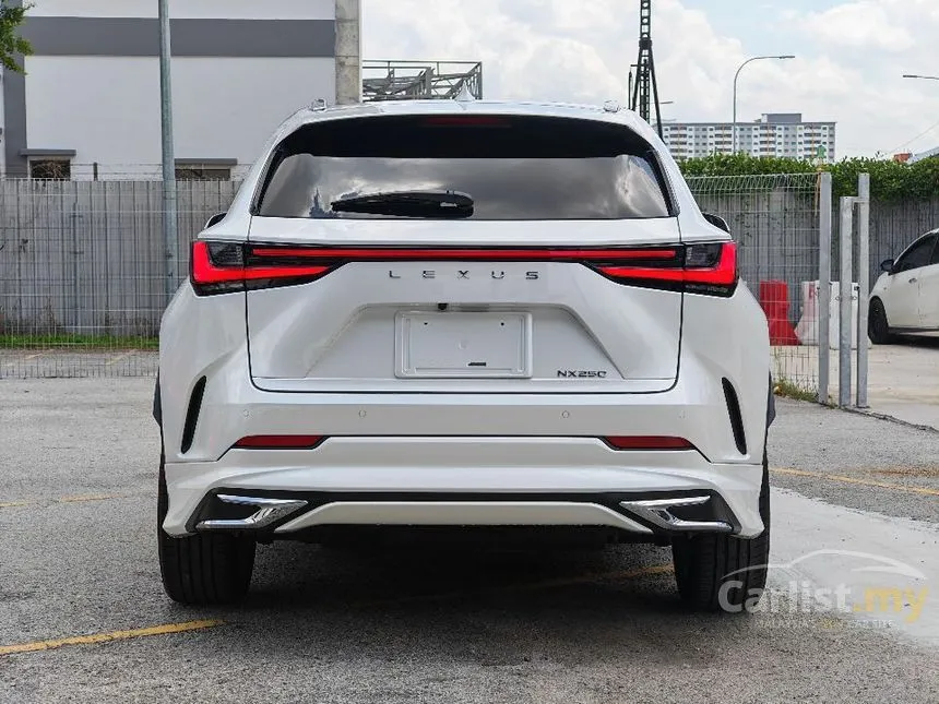 2023 Lexus NX 250 Luxury SUV
