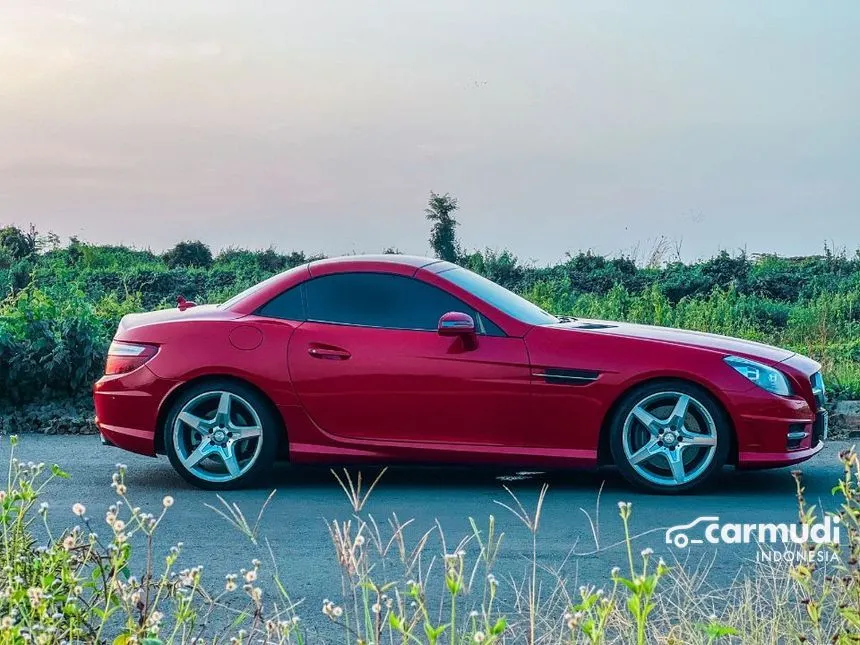 2011 Mercedes-Benz SLK250 AMG Convertible