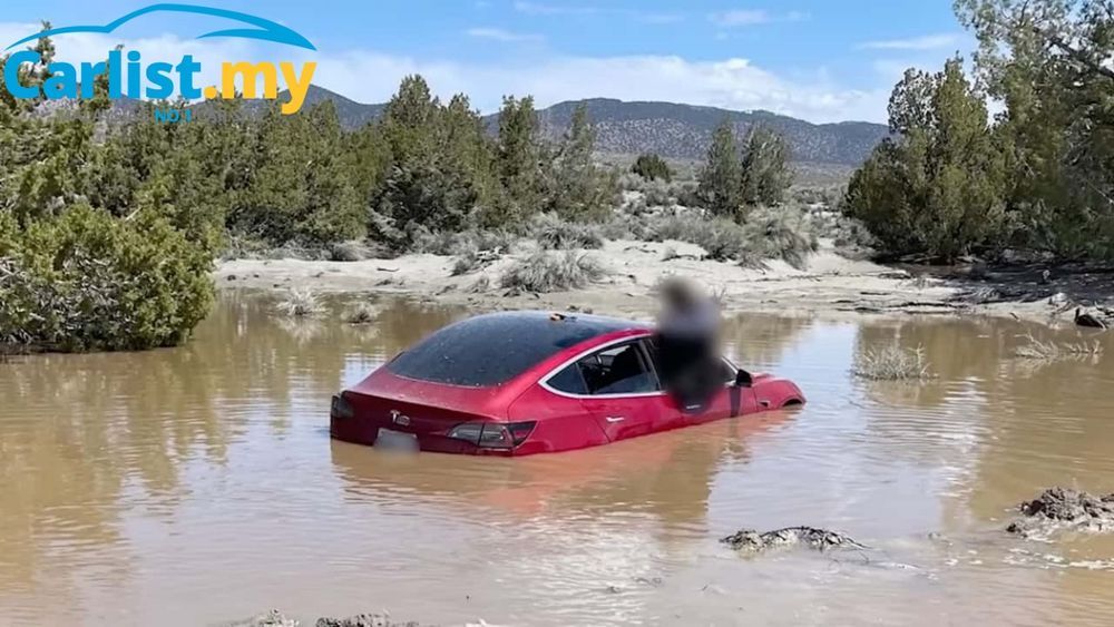 Tesla Model 3's FSD drove itself into flood- driver plans to sue Tesla but no one is taking him seriously- video  