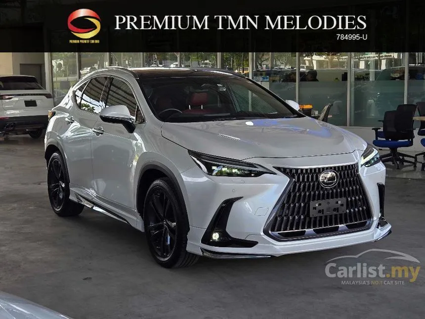 2023 Lexus NX 250 Luxury SUV