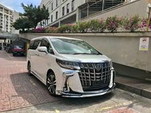 2018 Toyota Alphard 2.5 SC Full Spec LED Daylight
