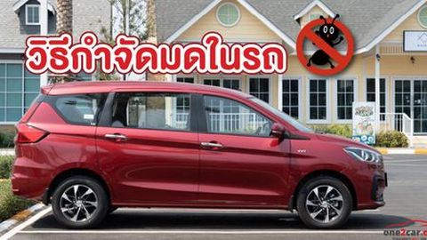 วิธีกำจัดมดในรถ ตัวปัญหาที่ต้องปราบ