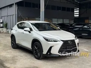 2022 Lexus NX 250 2.5 Luxury SUV