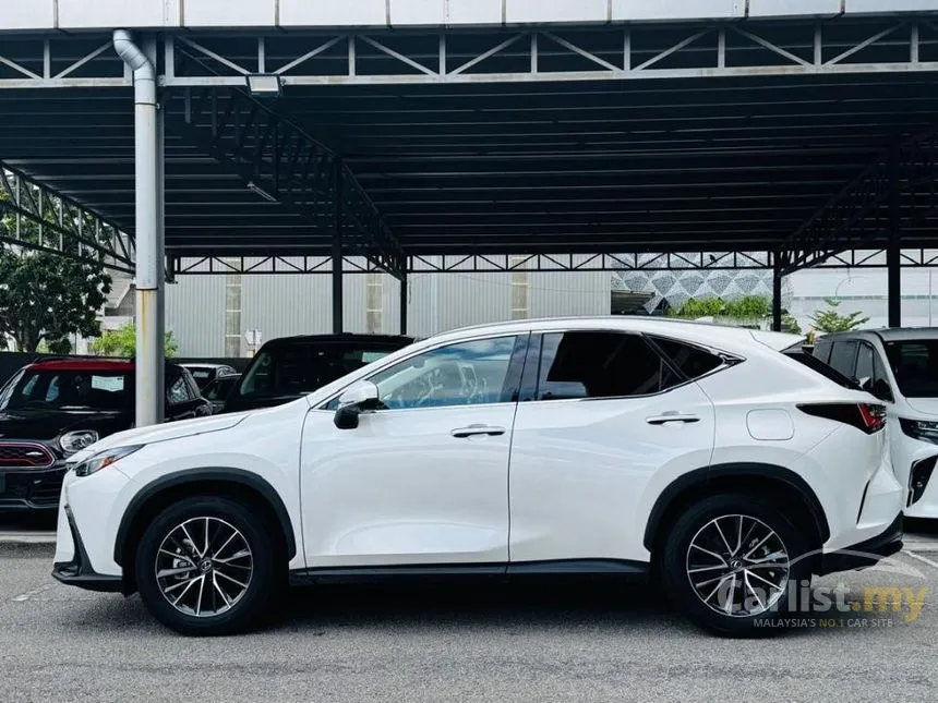2024 Lexus NX 250 Luxury SUV