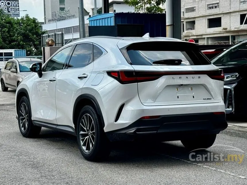 2024 Lexus NX 250 Luxury SUV