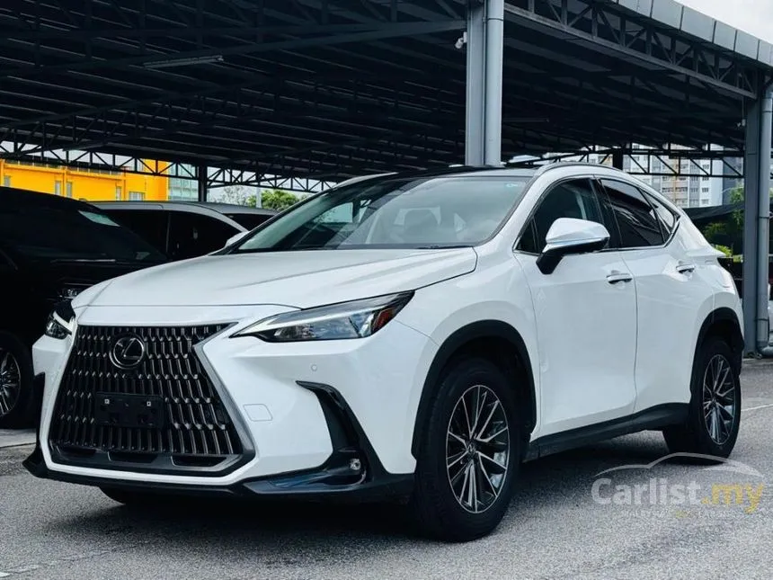 2024 Lexus NX 250 Luxury SUV