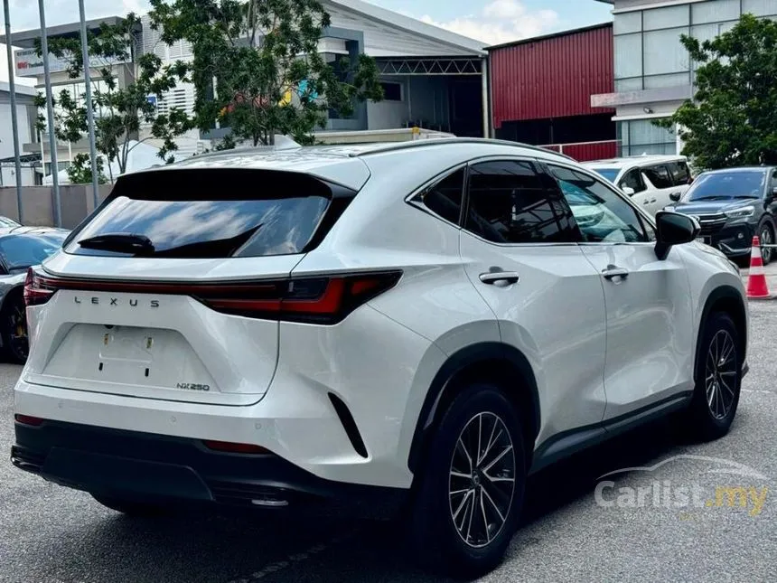 2024 Lexus NX 250 Luxury SUV