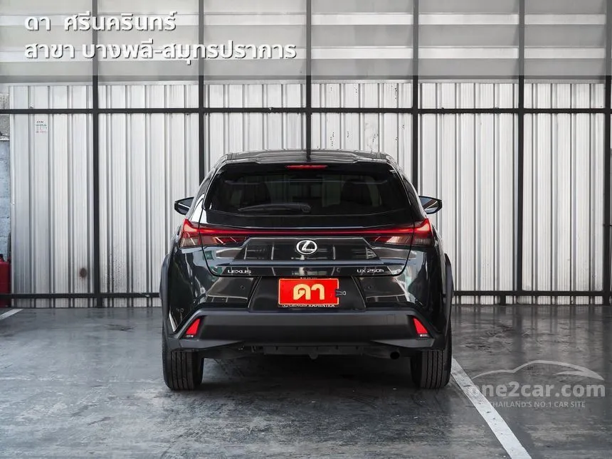 2023 Lexus UX250h Grand Luxury Hatchback