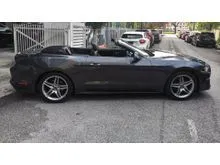 2019 Ford Mustang 2.3 CABRIOLET (GREY)
