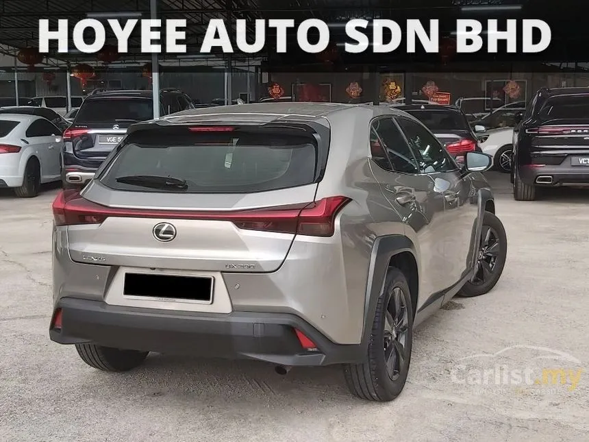 2021 Lexus UX 200 Luxury SUV
