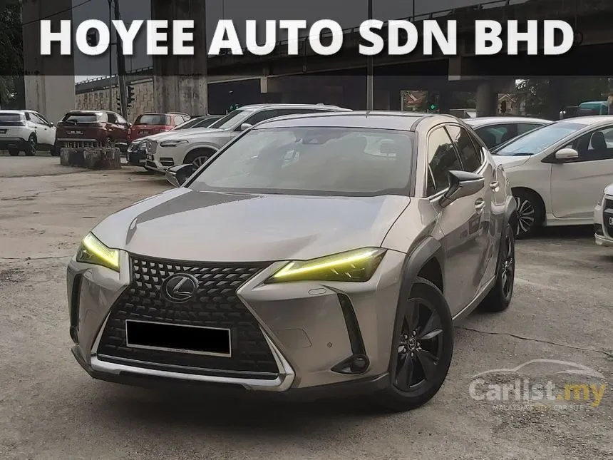 2021 Lexus UX 200 Luxury SUV
