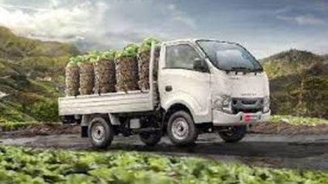 Wajib Tau, Berikut Pick Up Paling Bandel