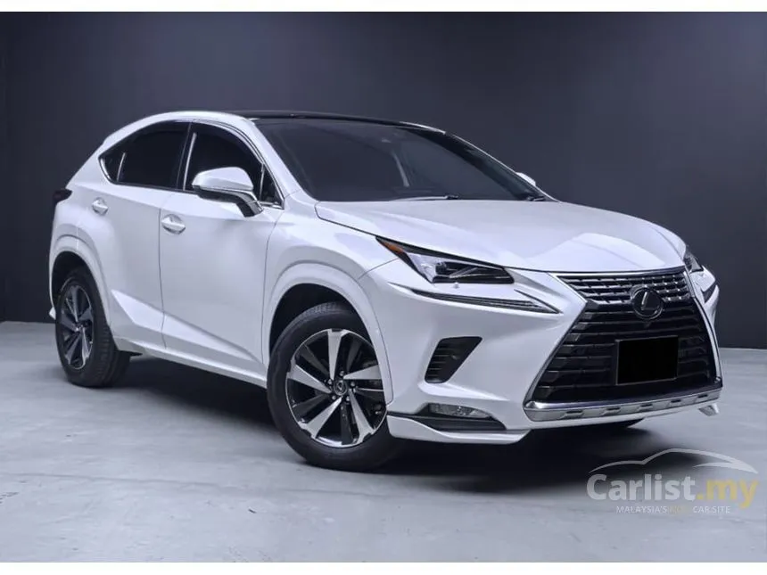 2019 Lexus NX 300 I Package SUV