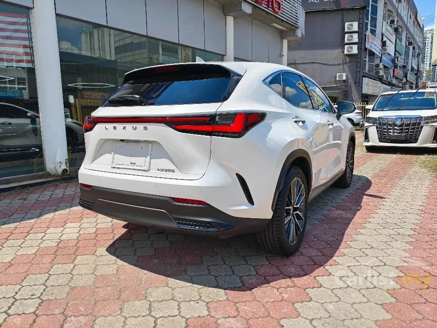 2023 Lexus NX250 Luxury SUV