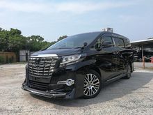 2017 Toyota Alphard 2.5 SC modelista Bodykit