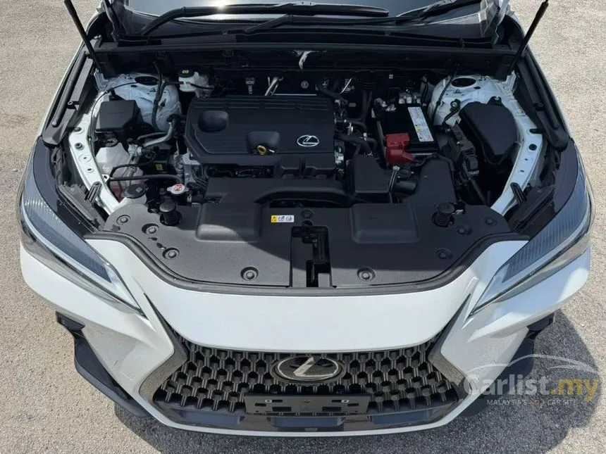 2023 Lexus NX 250 SUV