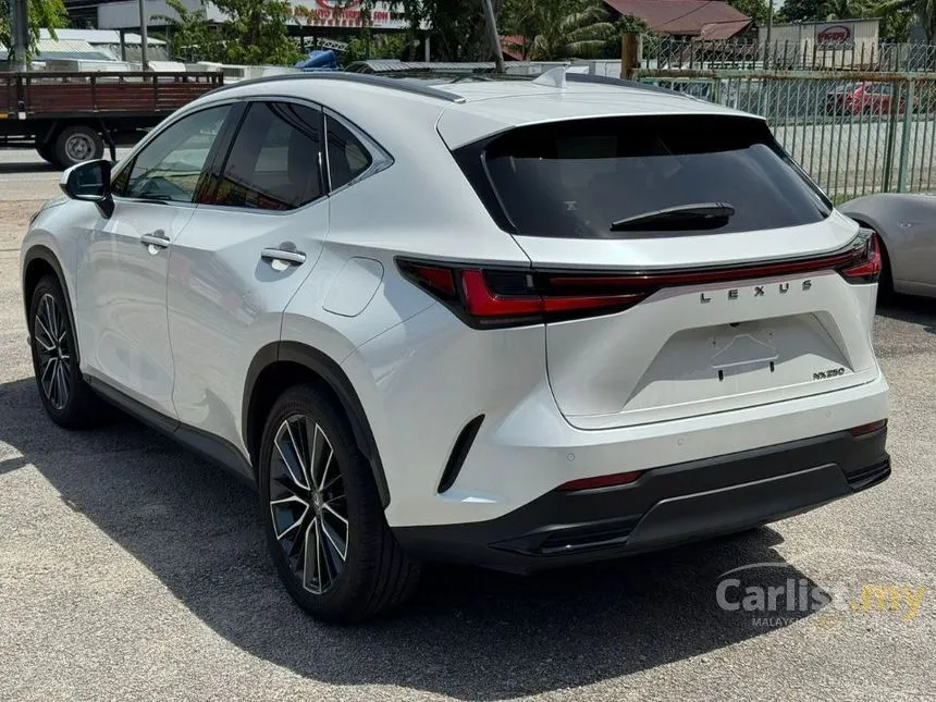 2023 Lexus NX 250 SUV