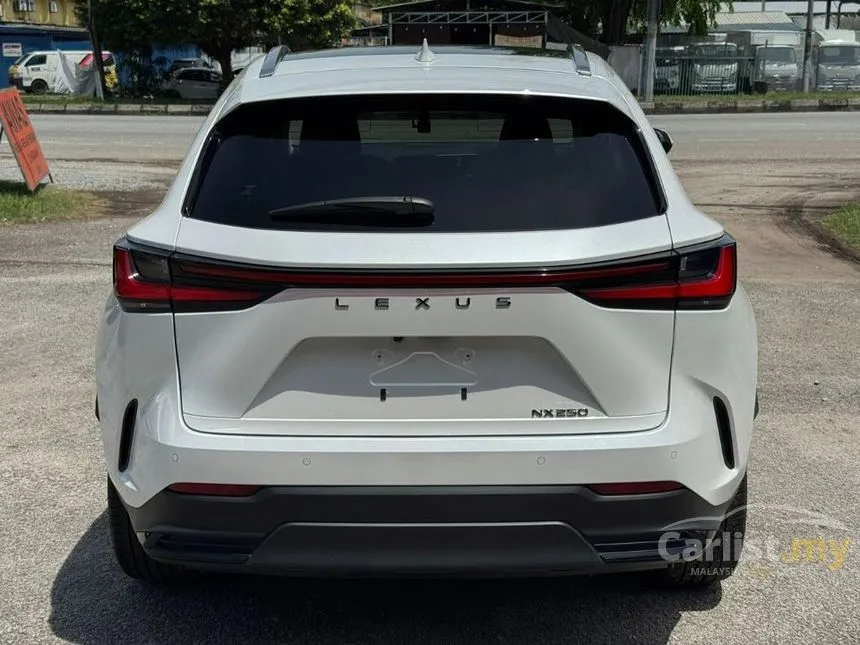 2023 Lexus NX 250 SUV