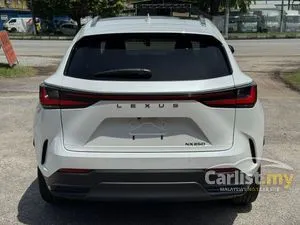 2023 Lexus NX 250 2.5 SUV