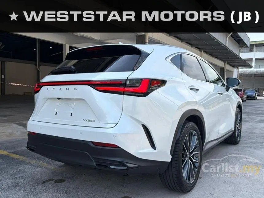 2023 Lexus NX 250 Luxury SUV