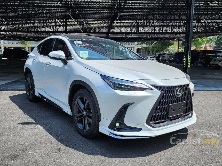 2023 Lexus NX250 Luxury SUV