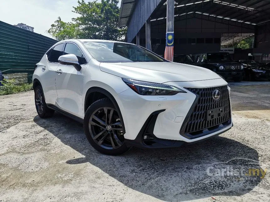 2022 Lexus NX 250 Luxury SUV