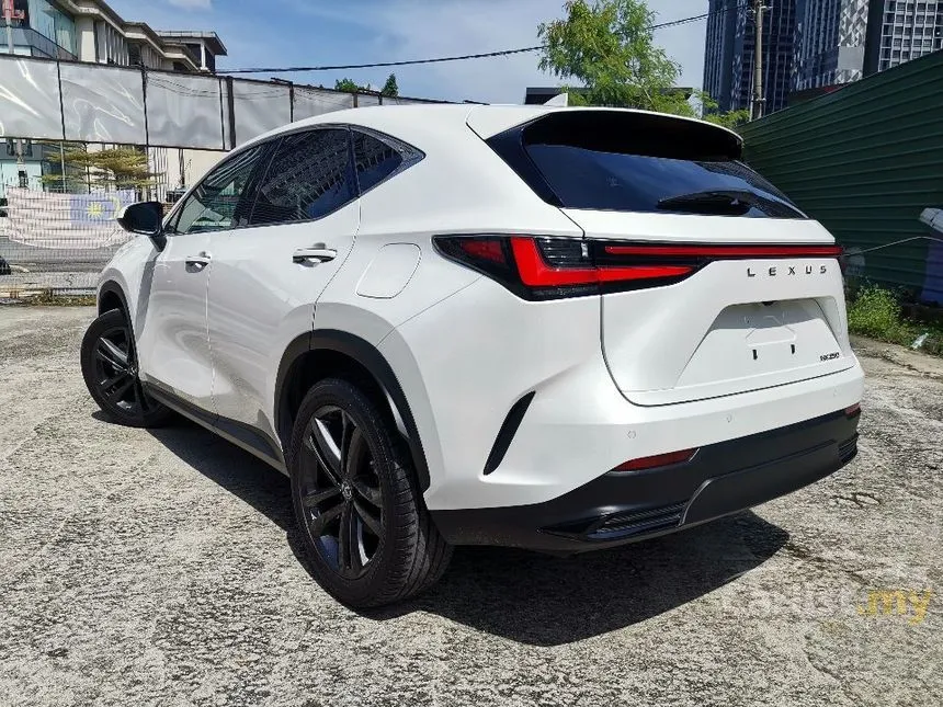 2022 Lexus NX 250 Luxury SUV
