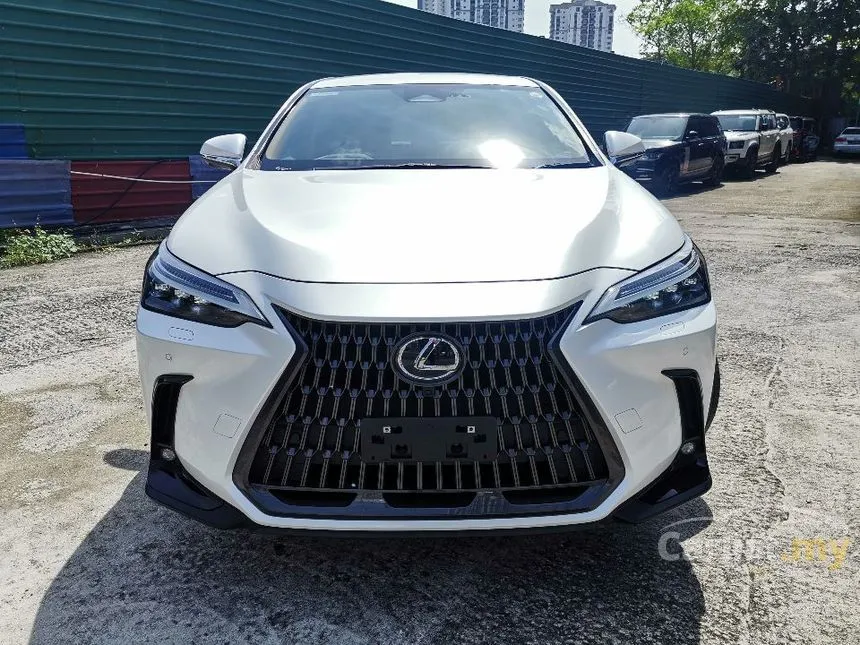 2022 Lexus NX 250 Luxury SUV