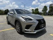 2019 Lexus NX 300 2.0 Premium SUV